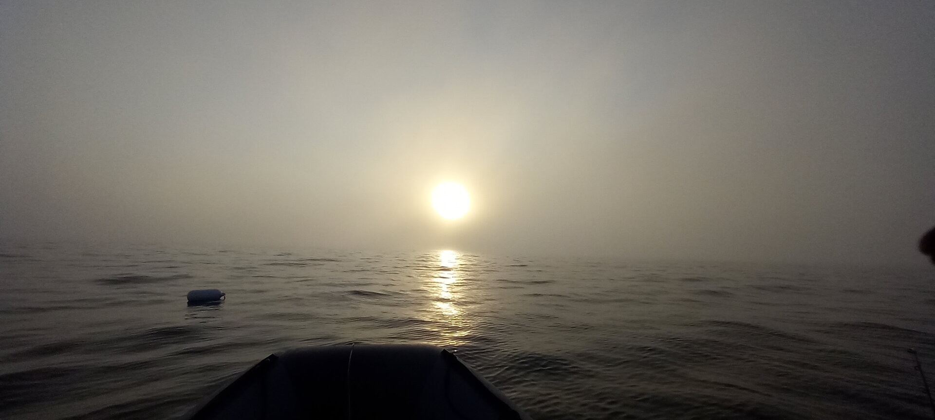 20220727_194701.jpg
