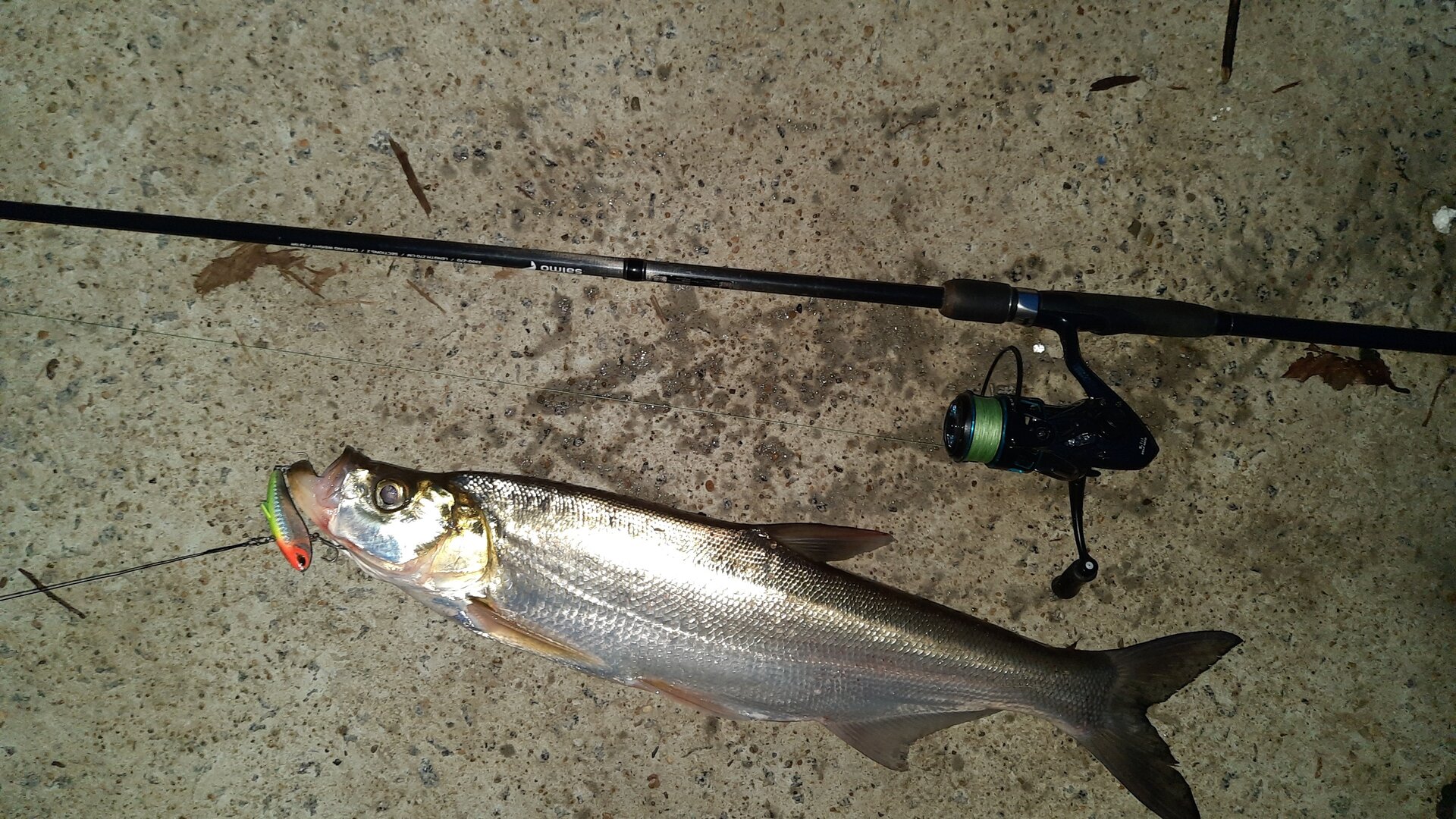 20220802_051228.jpg