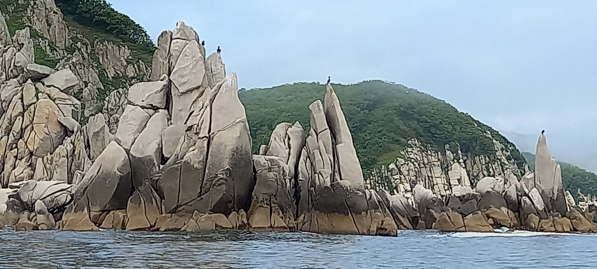 20220804_142249.jpg