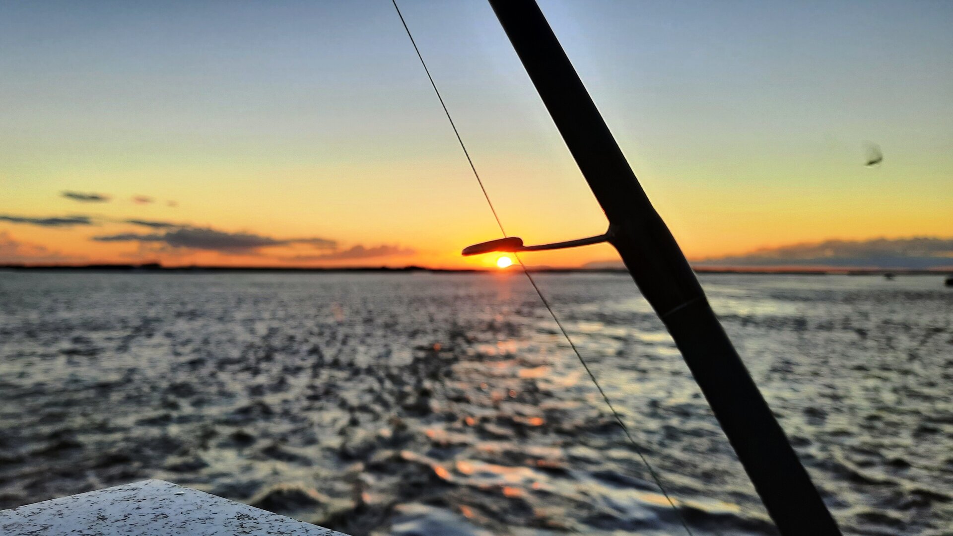 20220808_202206.jpg