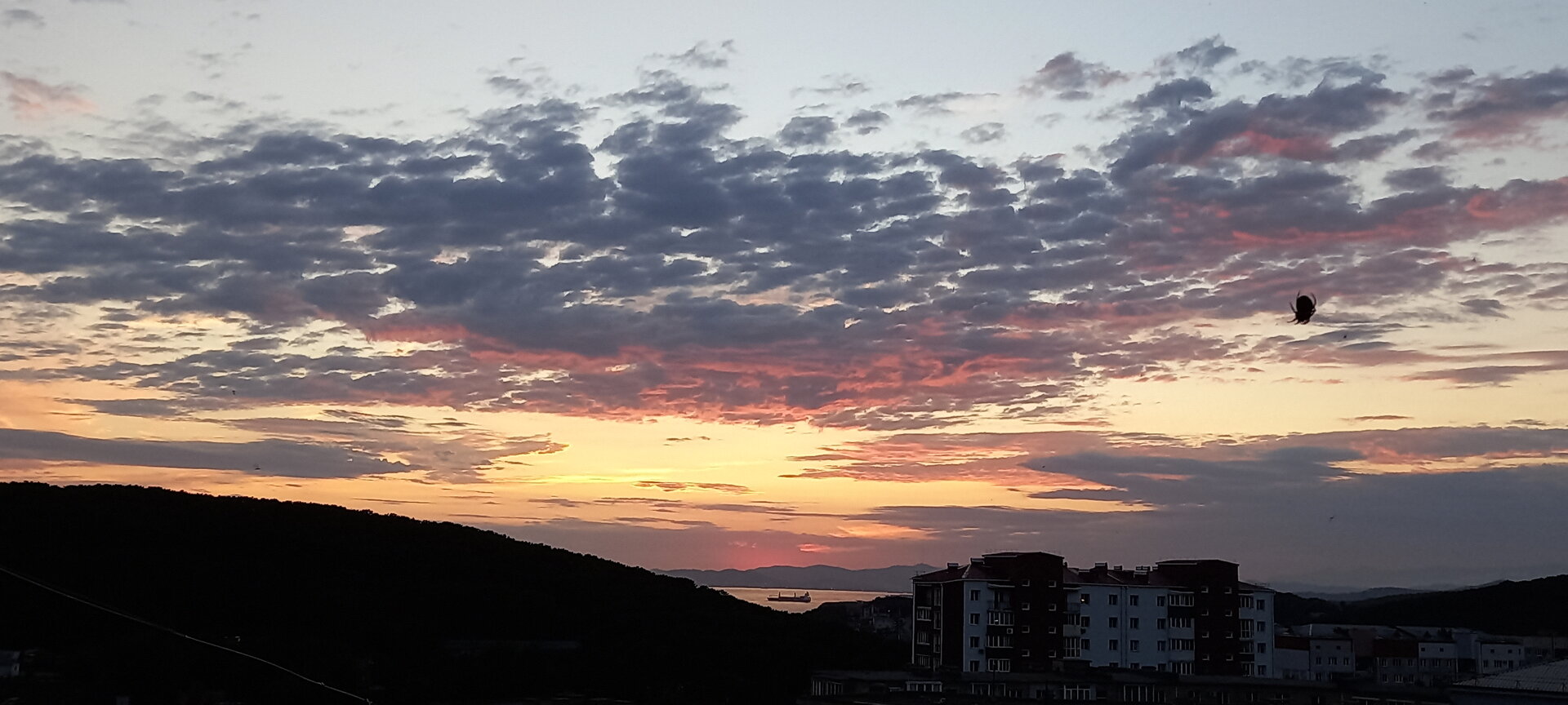 20220811_201812.jpg