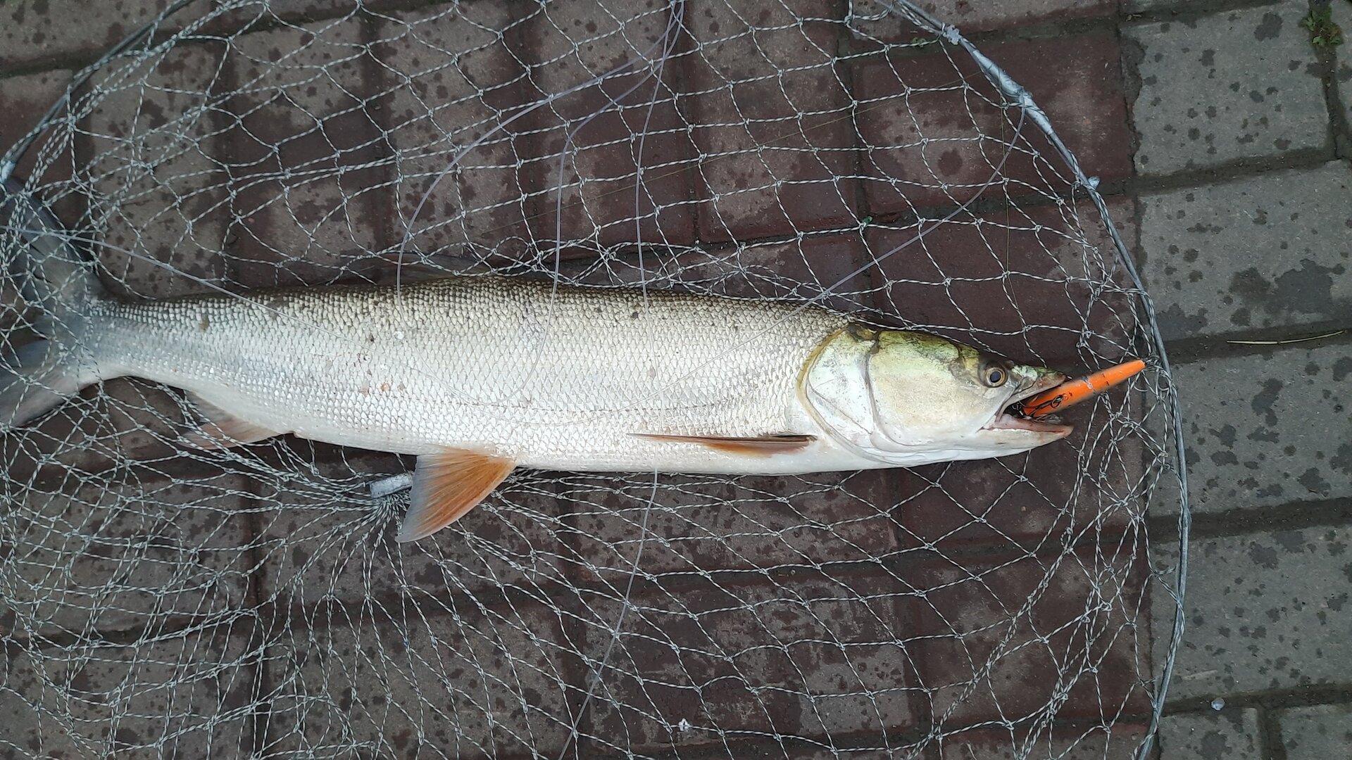 20220812_054619.jpg