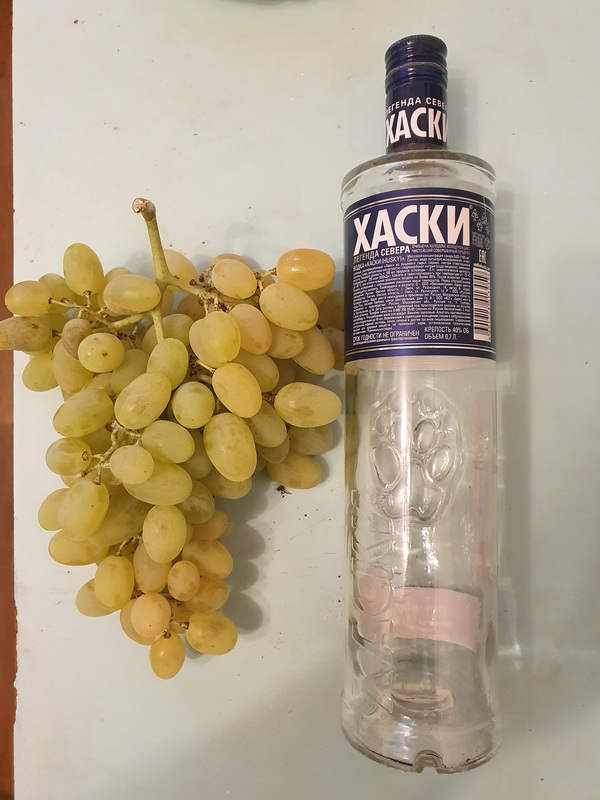 20220828_190817_новый размер.jpg