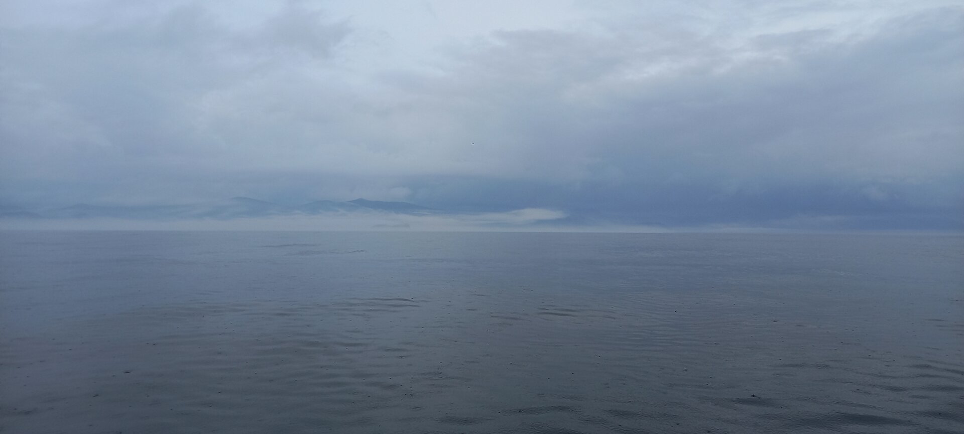 20220830_075555.jpg