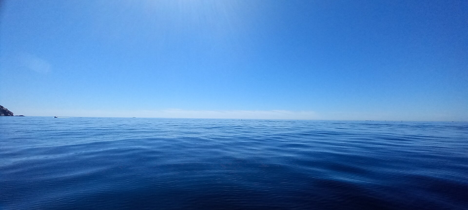 20220903_115124.jpg