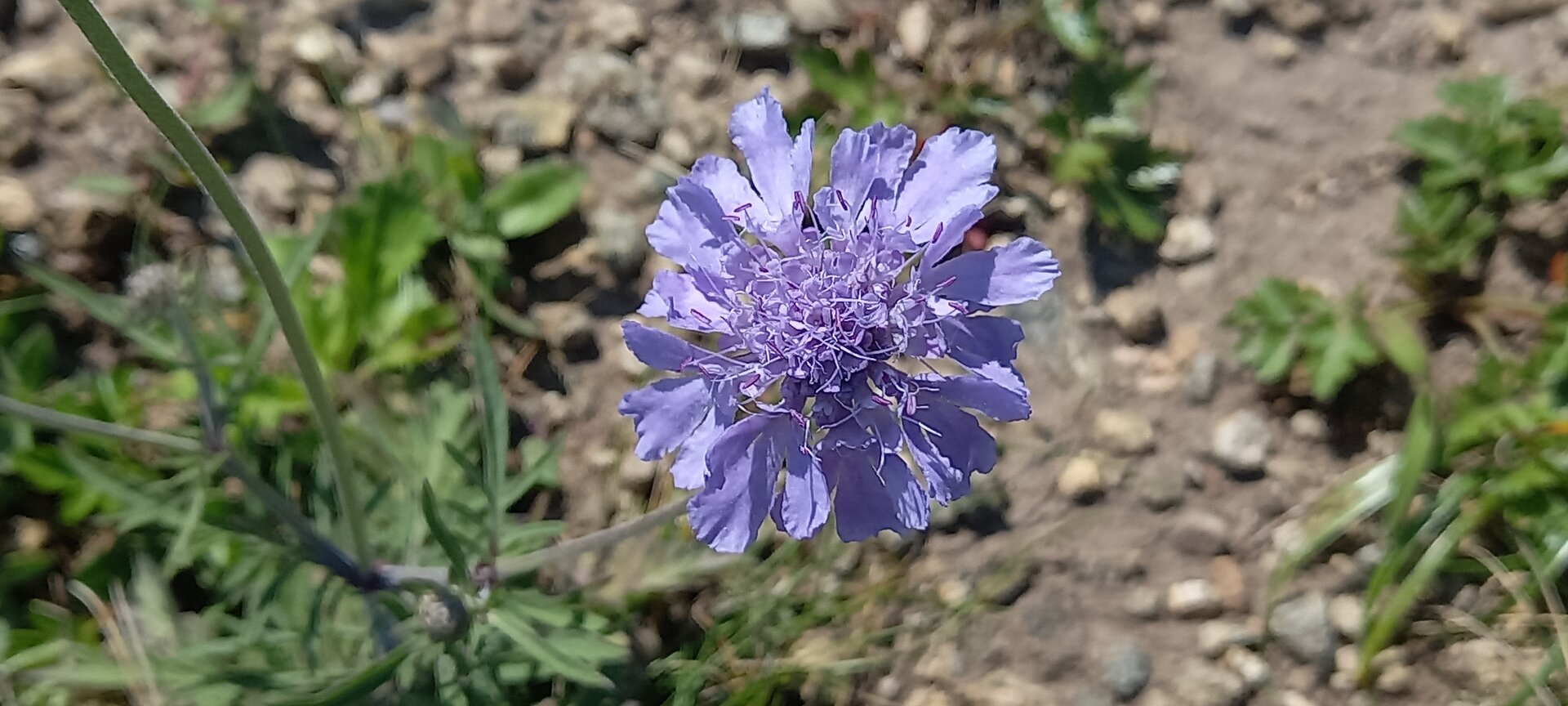 20220909_135548.jpg