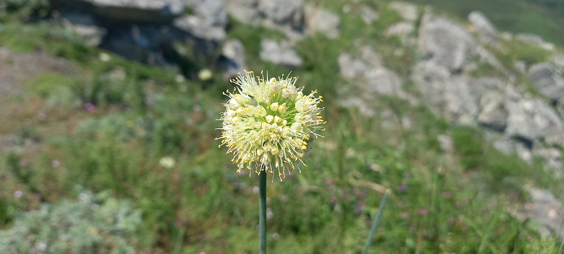 20220909_140428.jpg