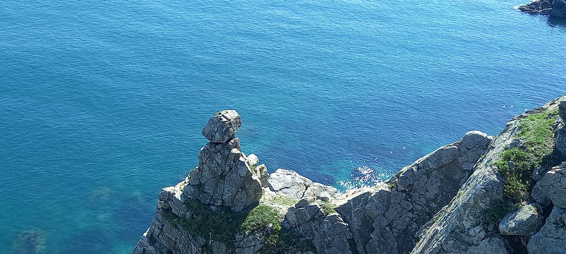 20220909_141155.jpg