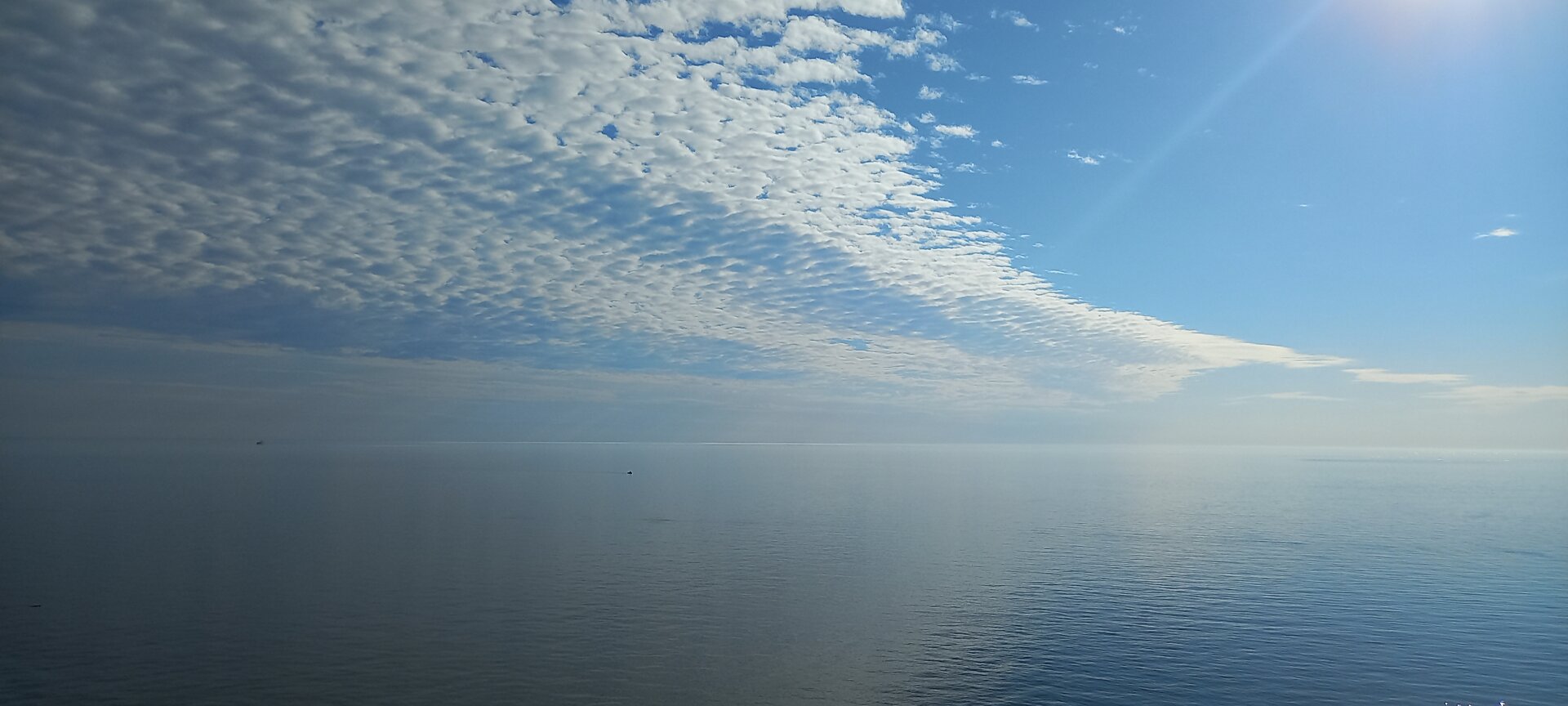 20220912_171016.jpg