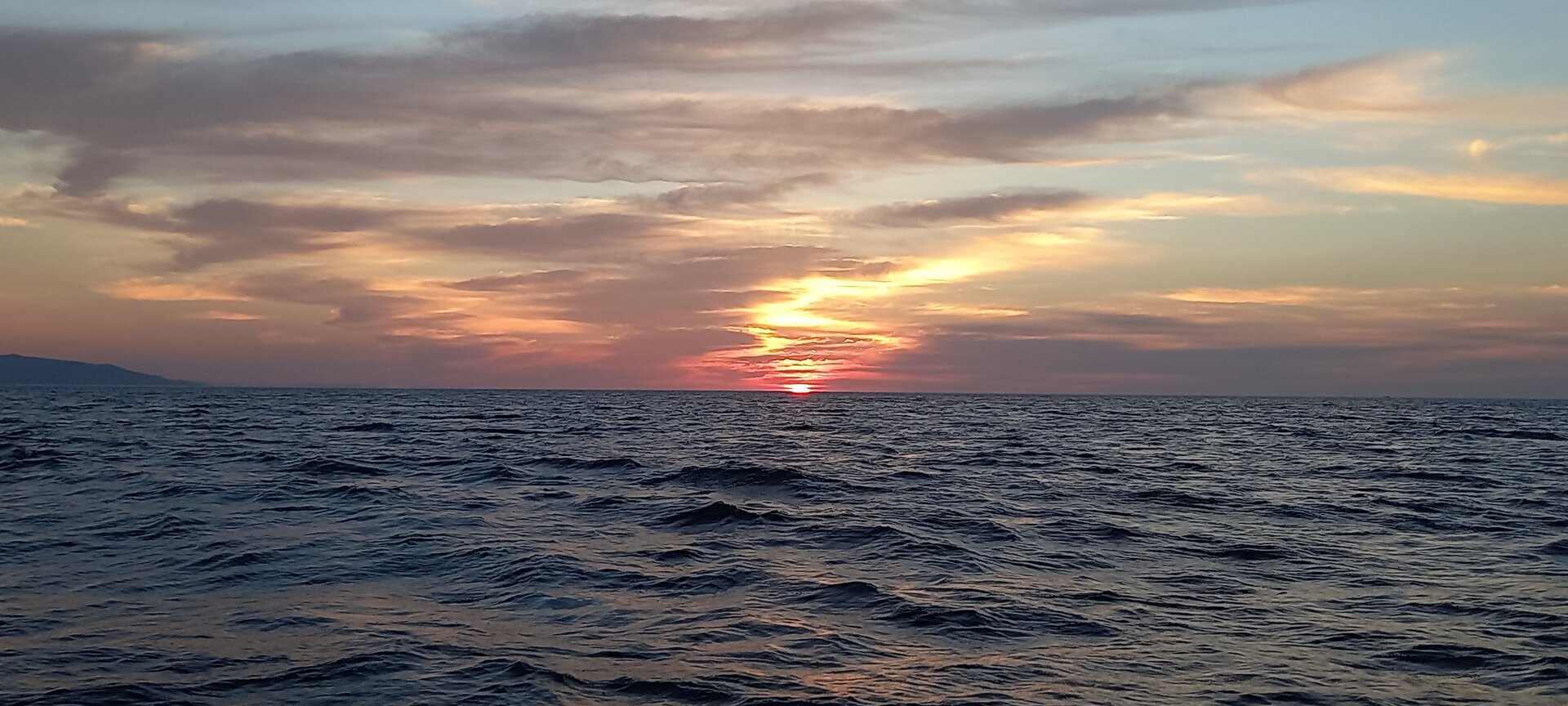 20220913_064544.jpg