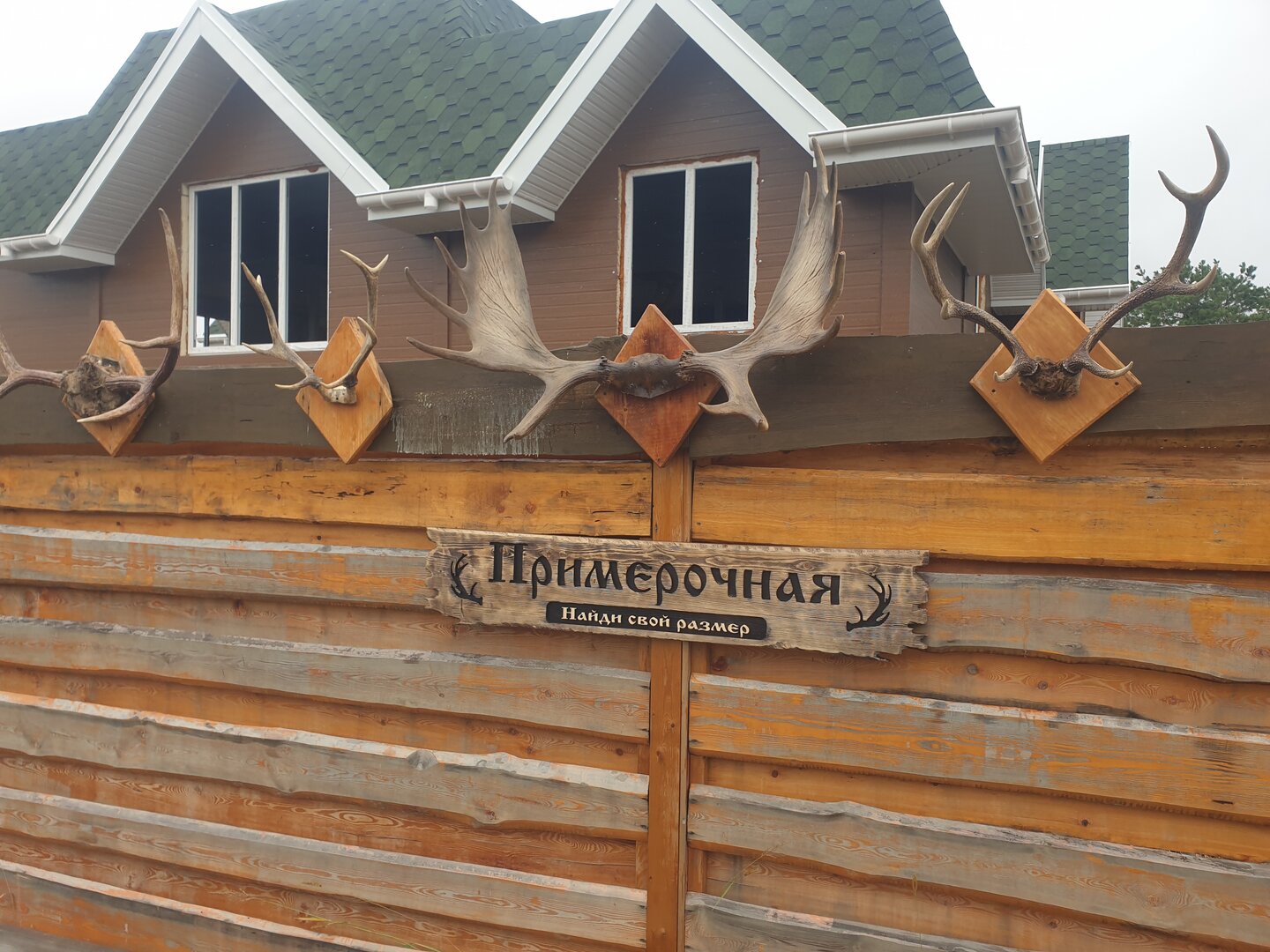 20220913_115110.jpg 20220913_115110.jpg