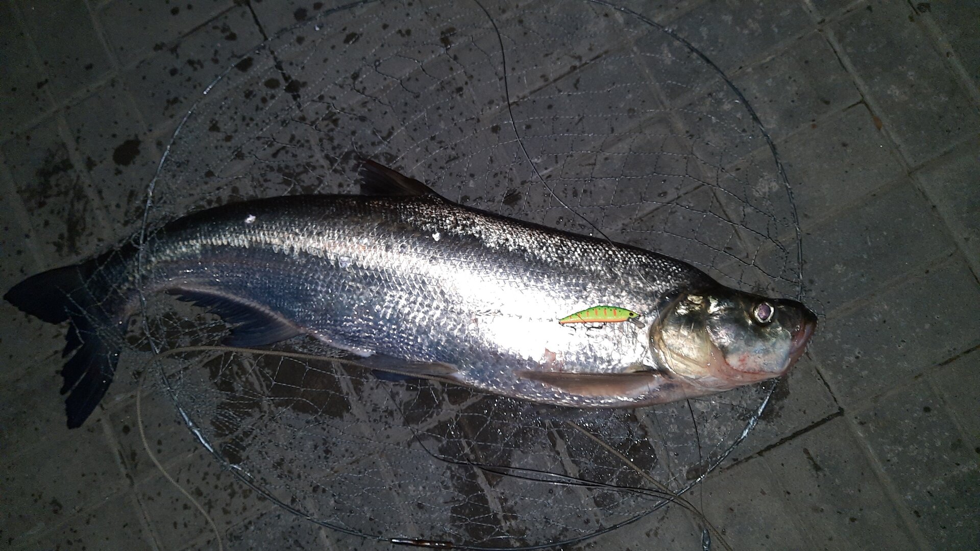 20220915_053131.jpg