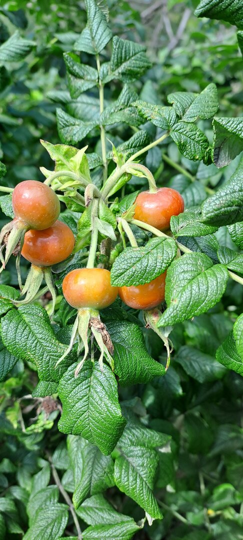 20220919_122348.jpg