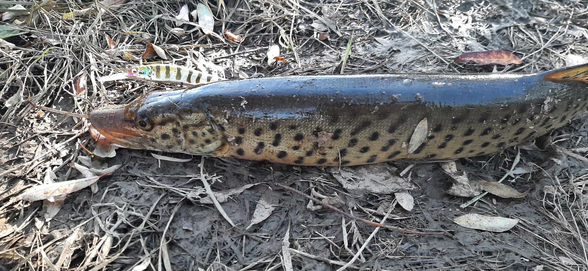 20220922_091821.jpg