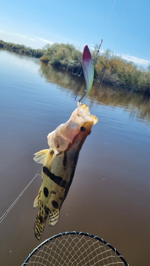 20220923_121710.jpg