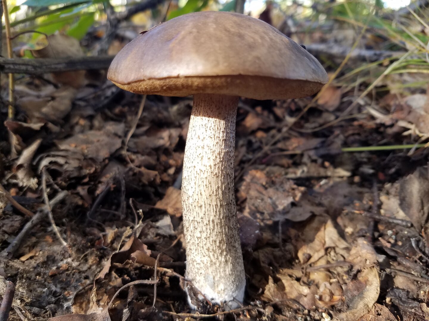 20220927_095705.jpg