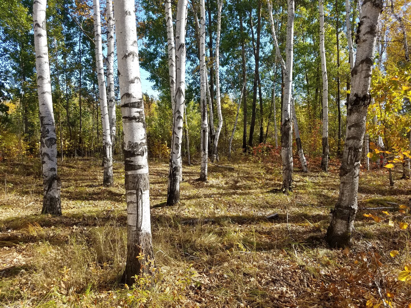 20220927_111458.jpg