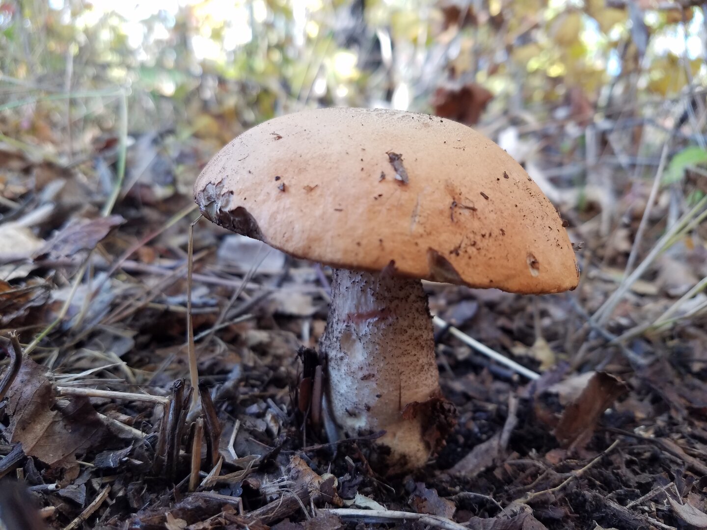 20220927_114832.jpg