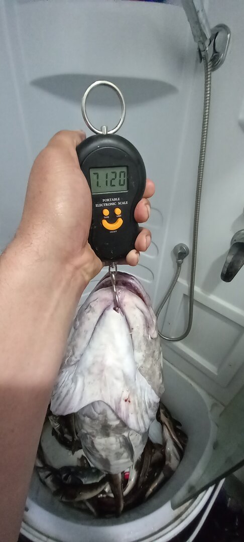 20220929_183649.jpg