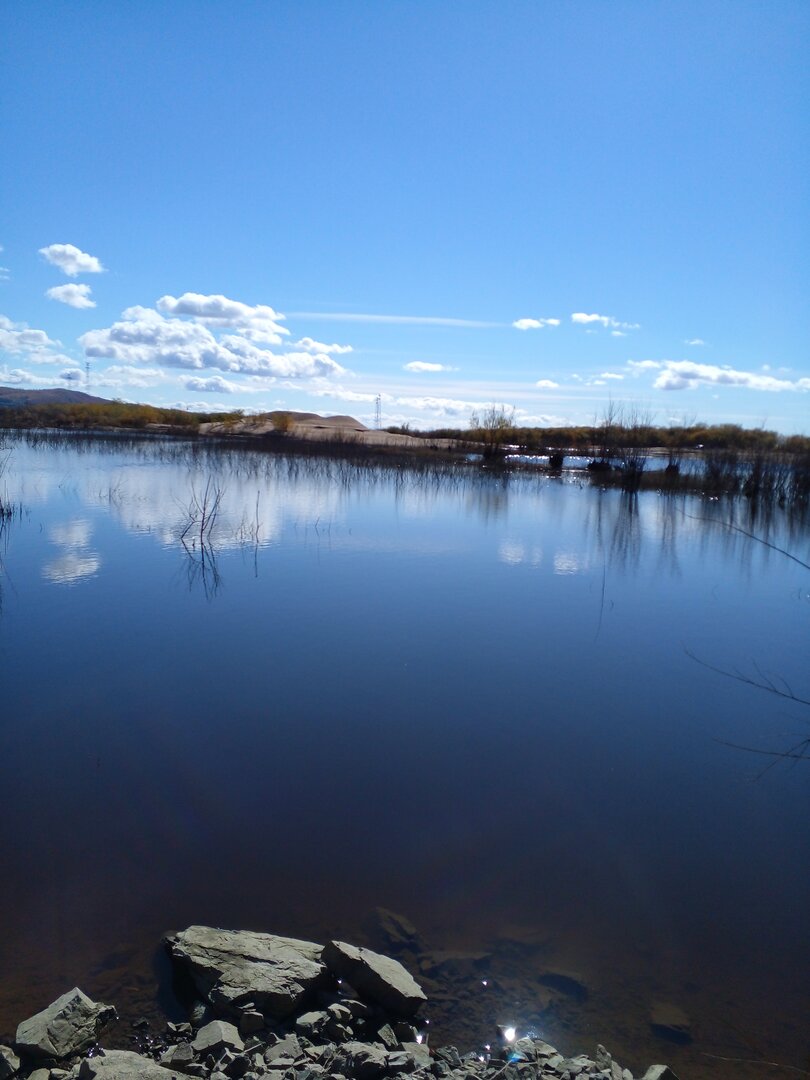 20221001_122428.jpg