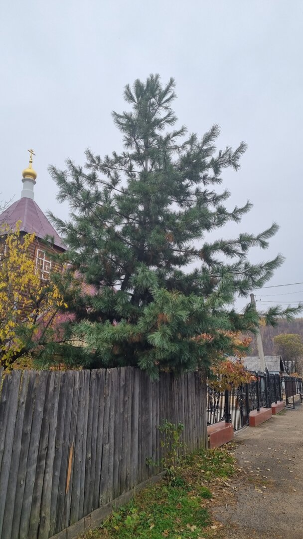 20221002_141730.jpg