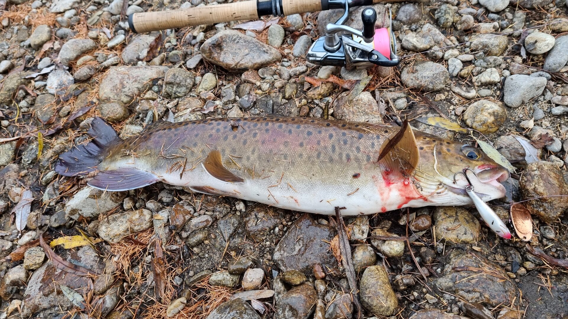 20221004_180255.jpg
