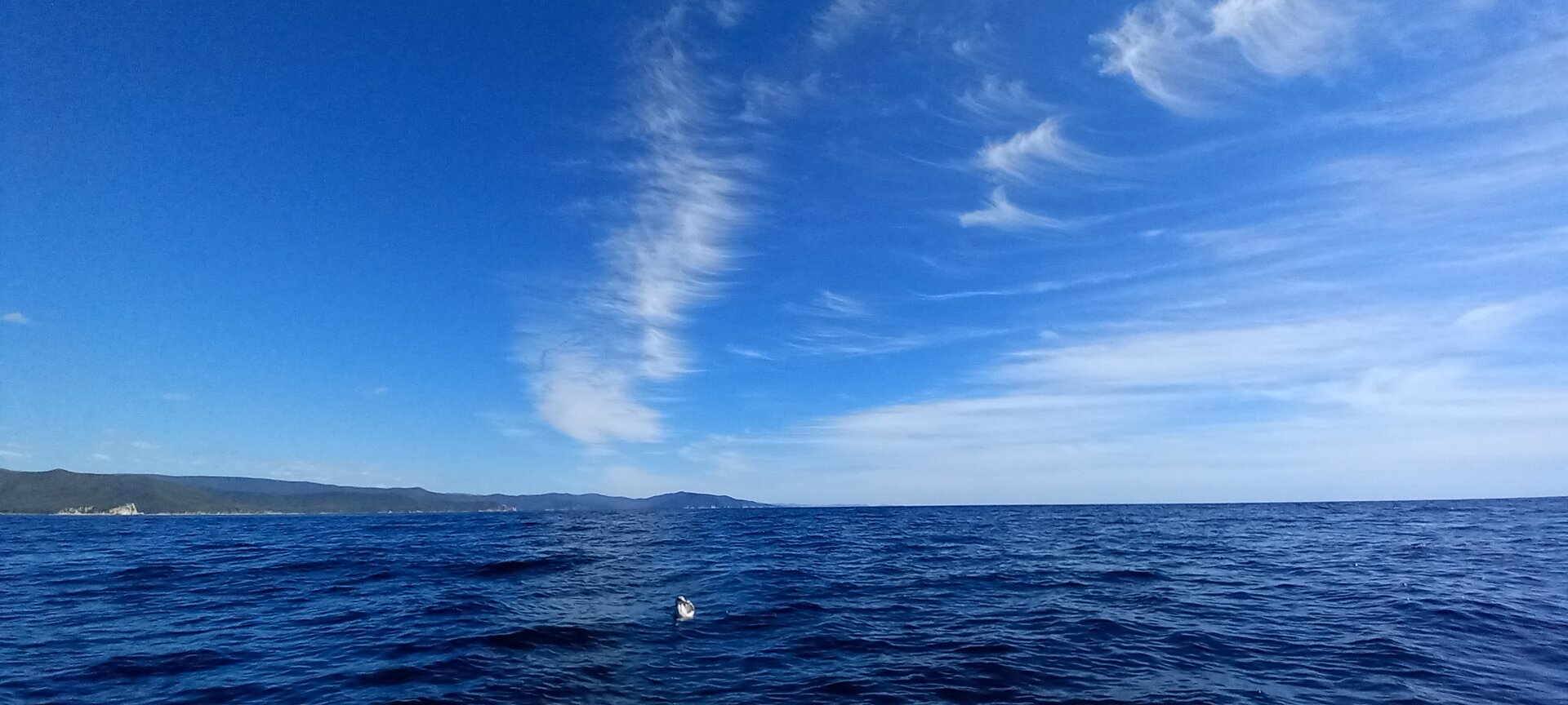20221007_120400.jpg