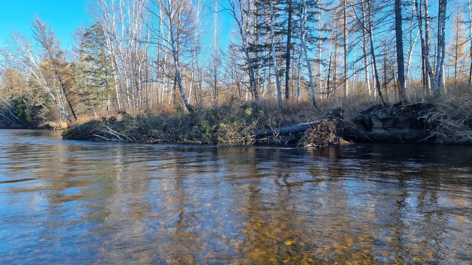 20221011_151300.jpg