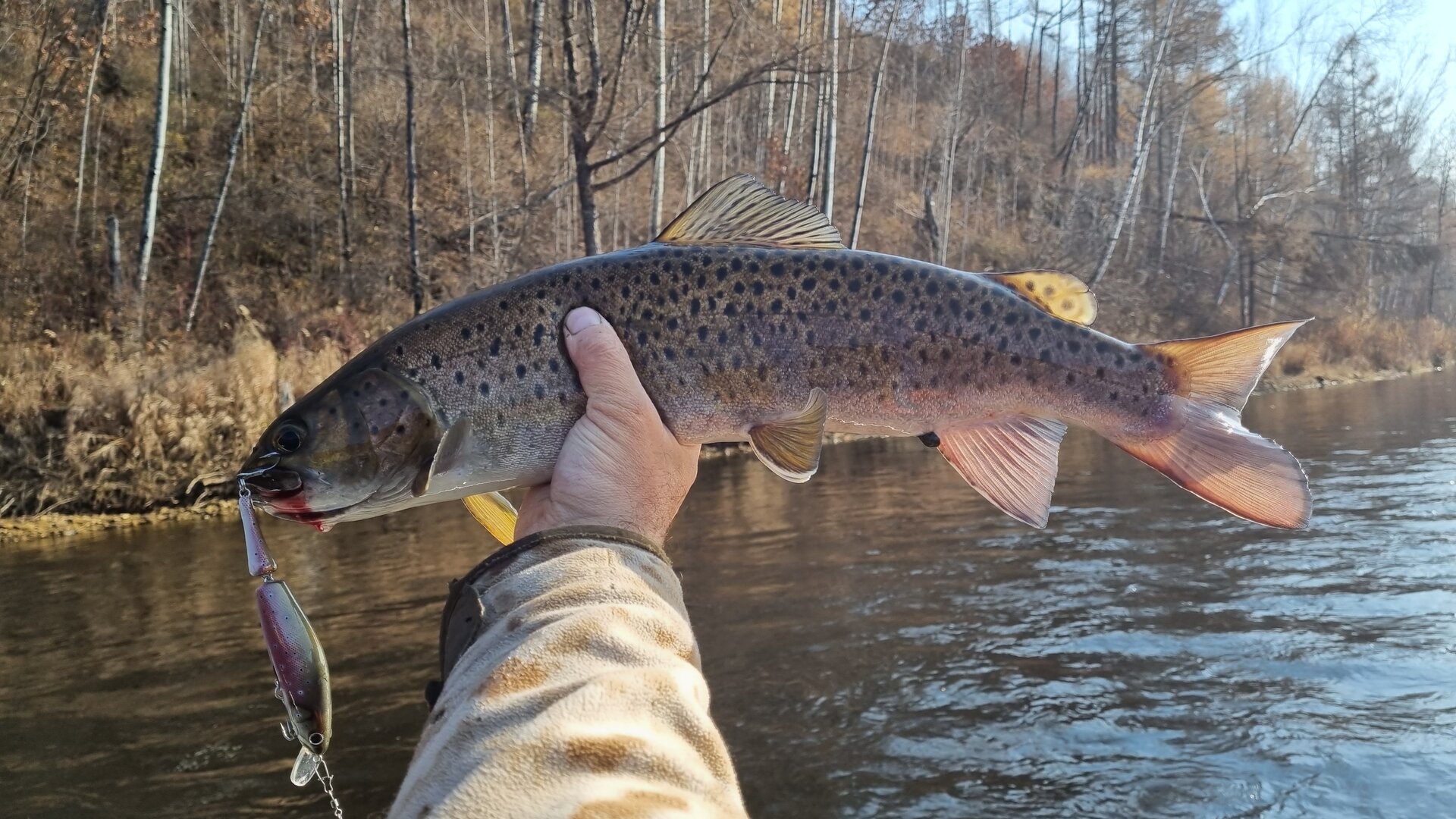 20221013_145717.jpg