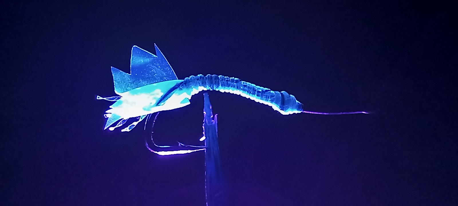 20221017_194319.jpg