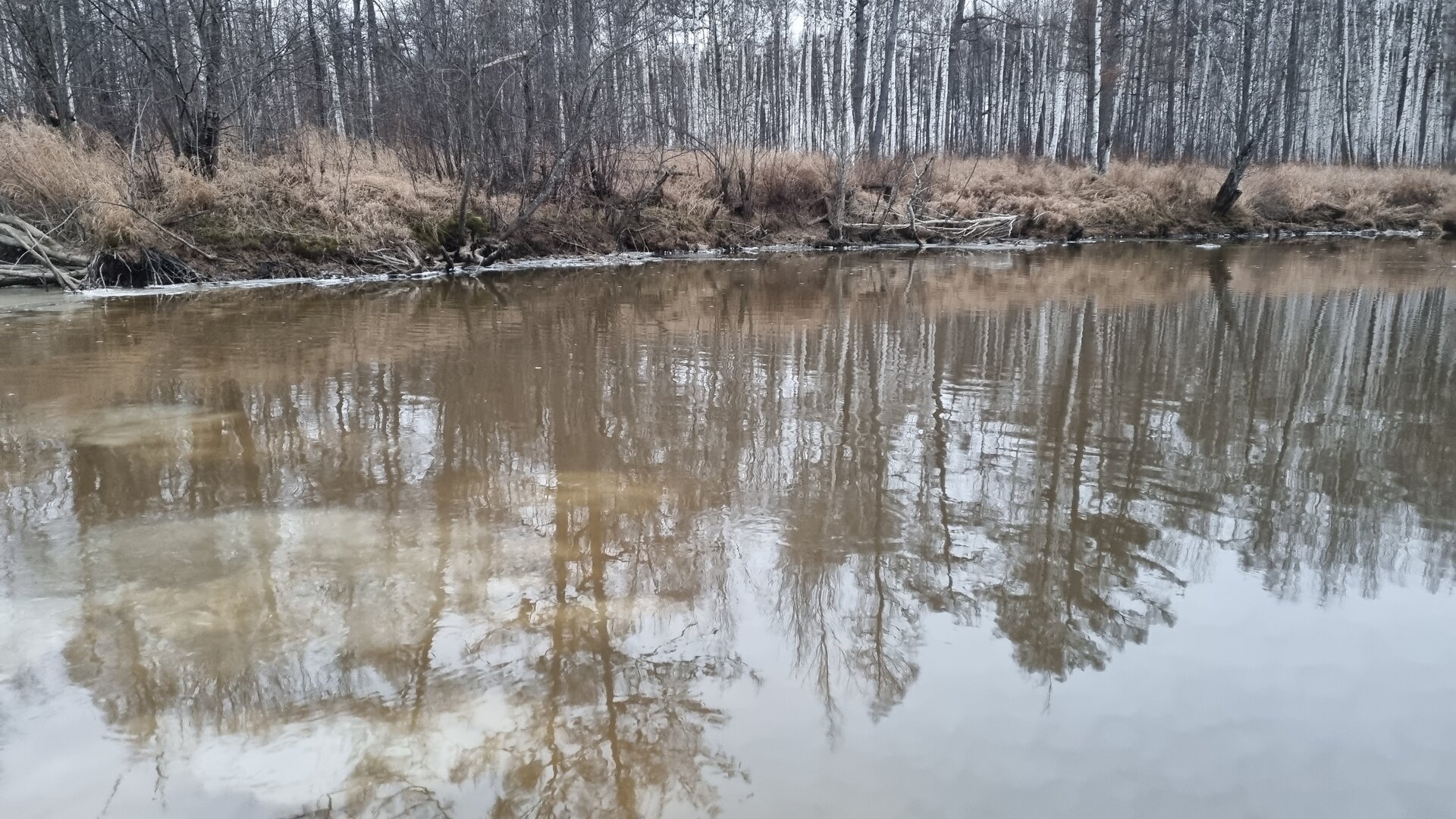 20221026_080744.jpg