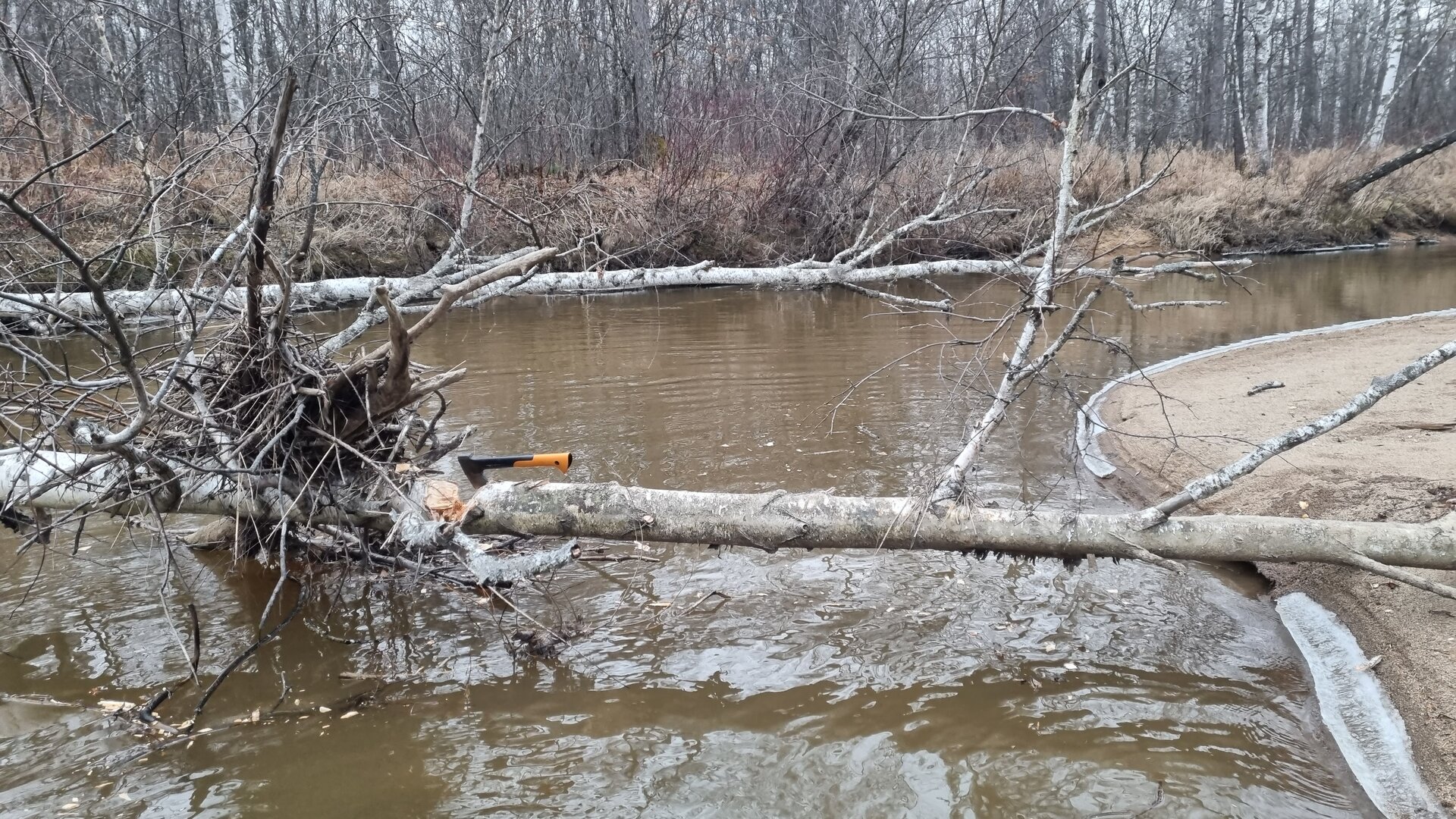 20221026_100444.jpg