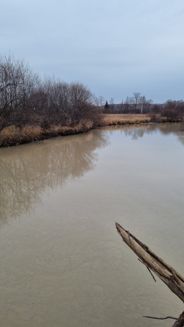 20221026_125743.jpg