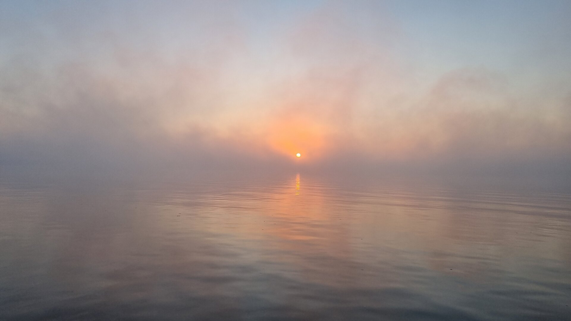 20221030_075835.jpg