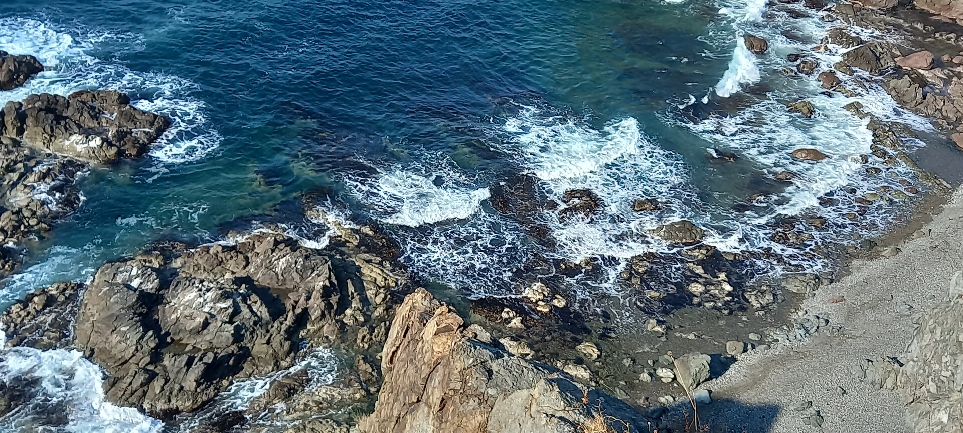 20221108_115103.jpg