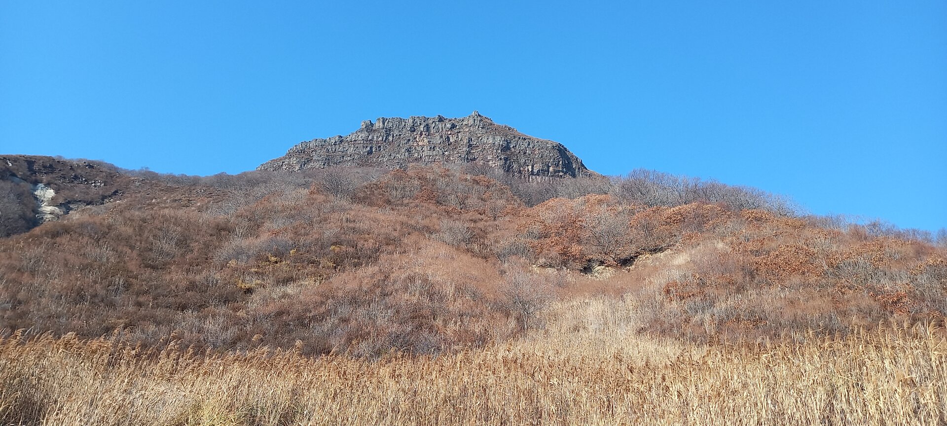 20221108_131453.jpg