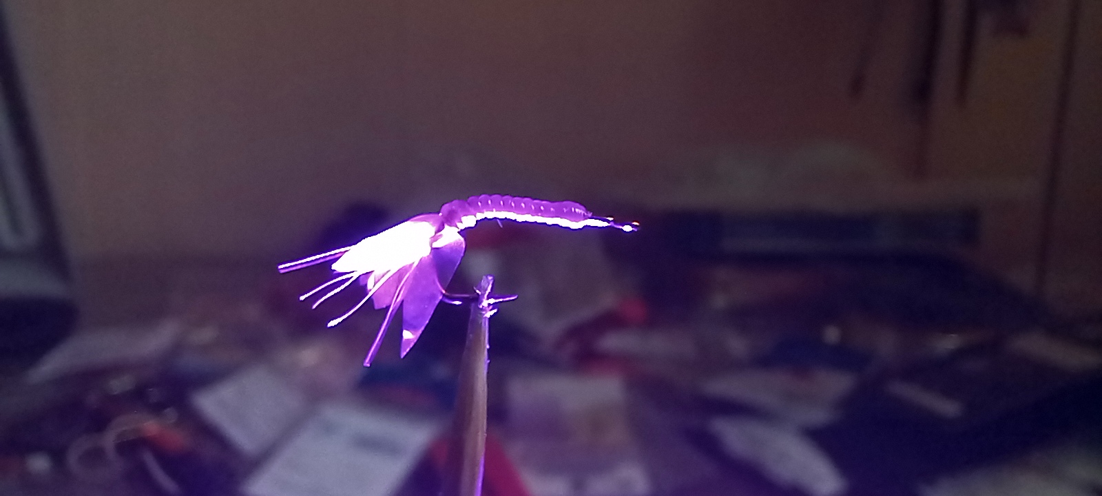 20221112_124514.jpg