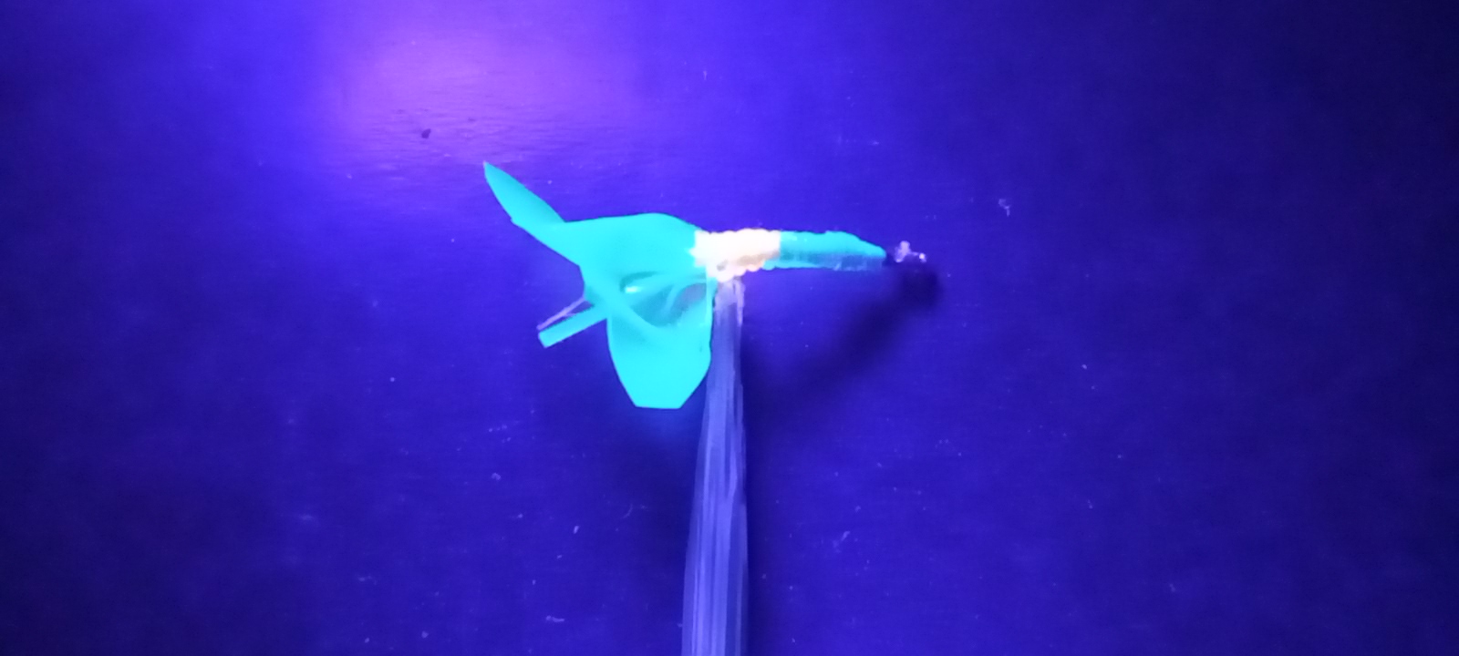 20221118_122122.jpg