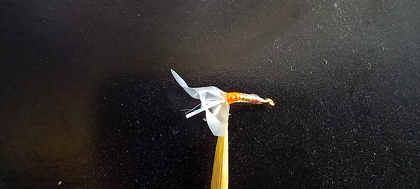 20221118_122214.jpg