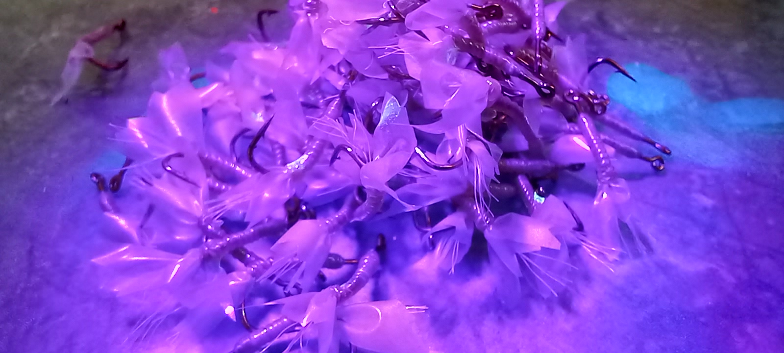 20221118_142905.jpg