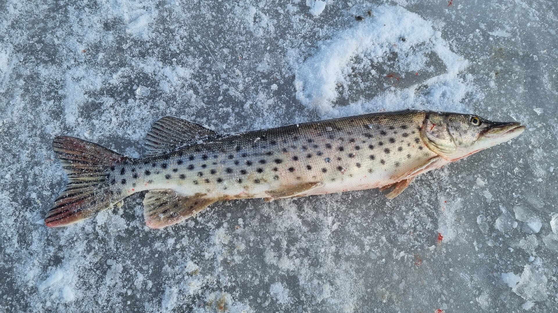 20221119_111234.jpg