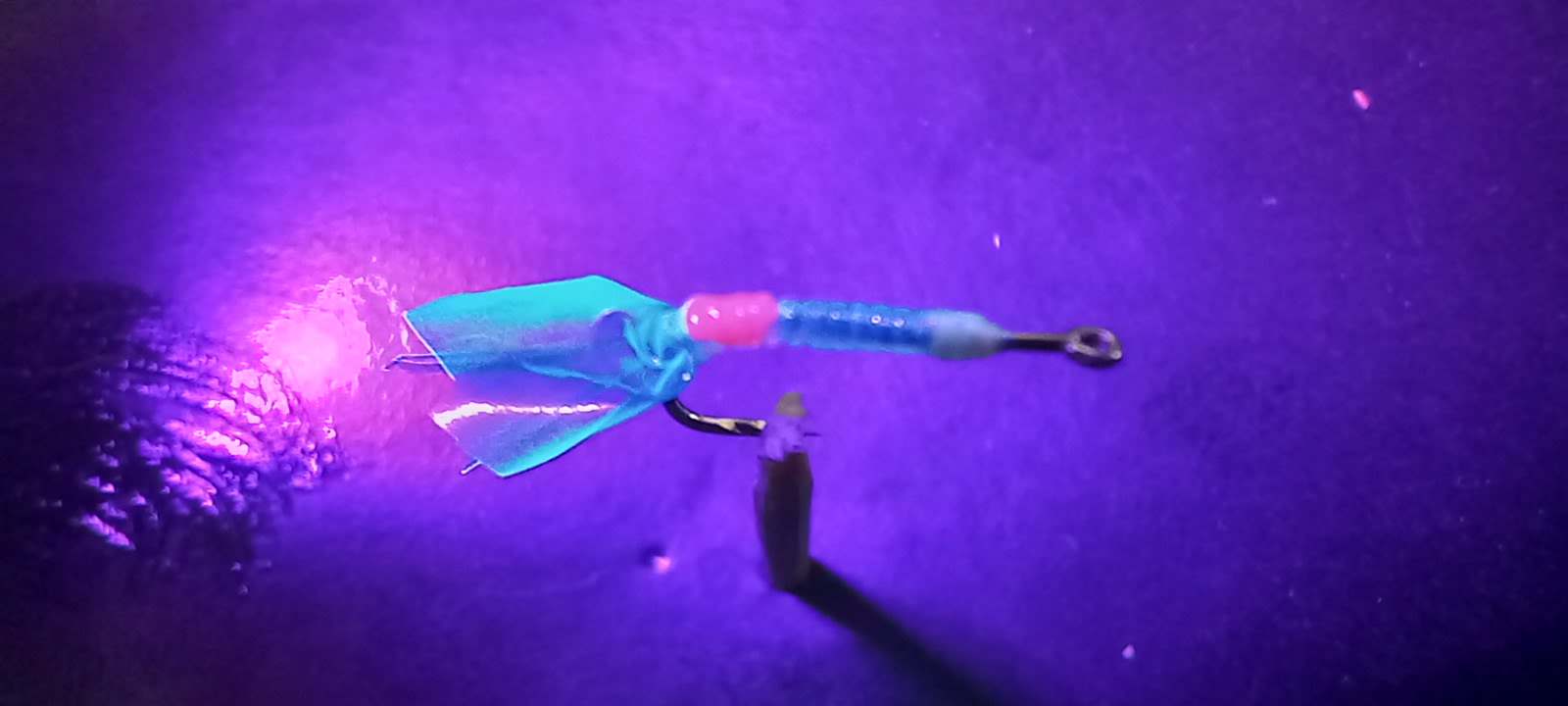 20221126_104734.jpg
