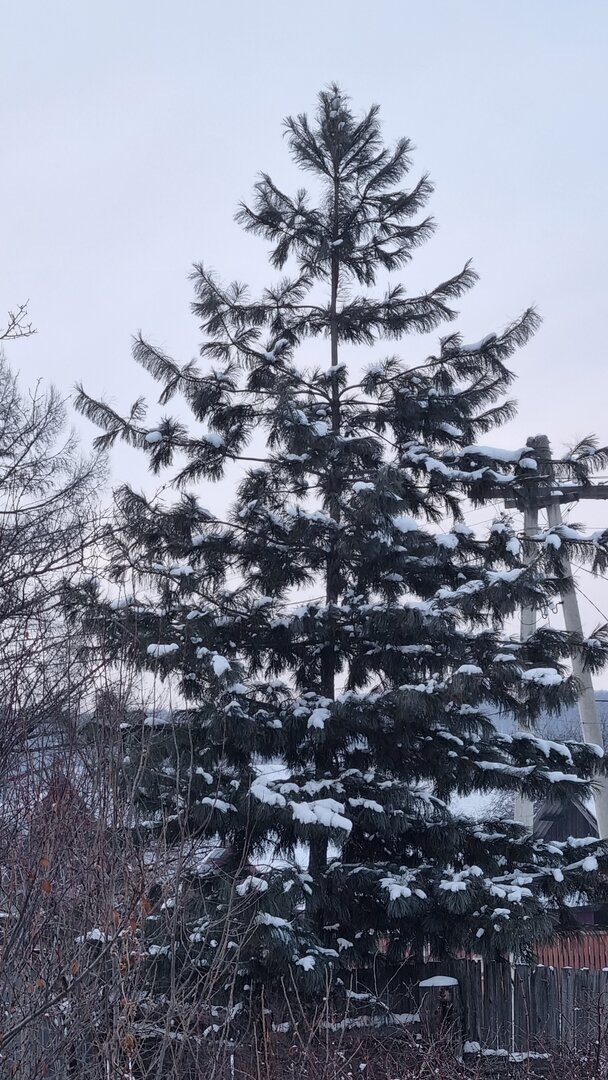 20221127_170903.jpg