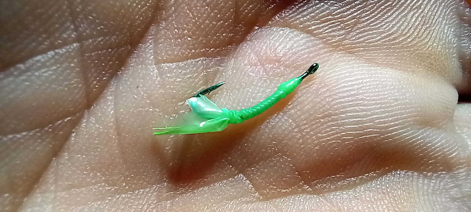 20221129_221423.jpg