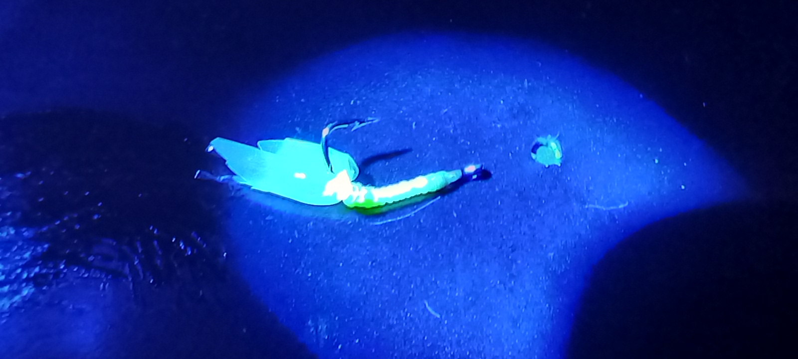20221130_110742.jpg
