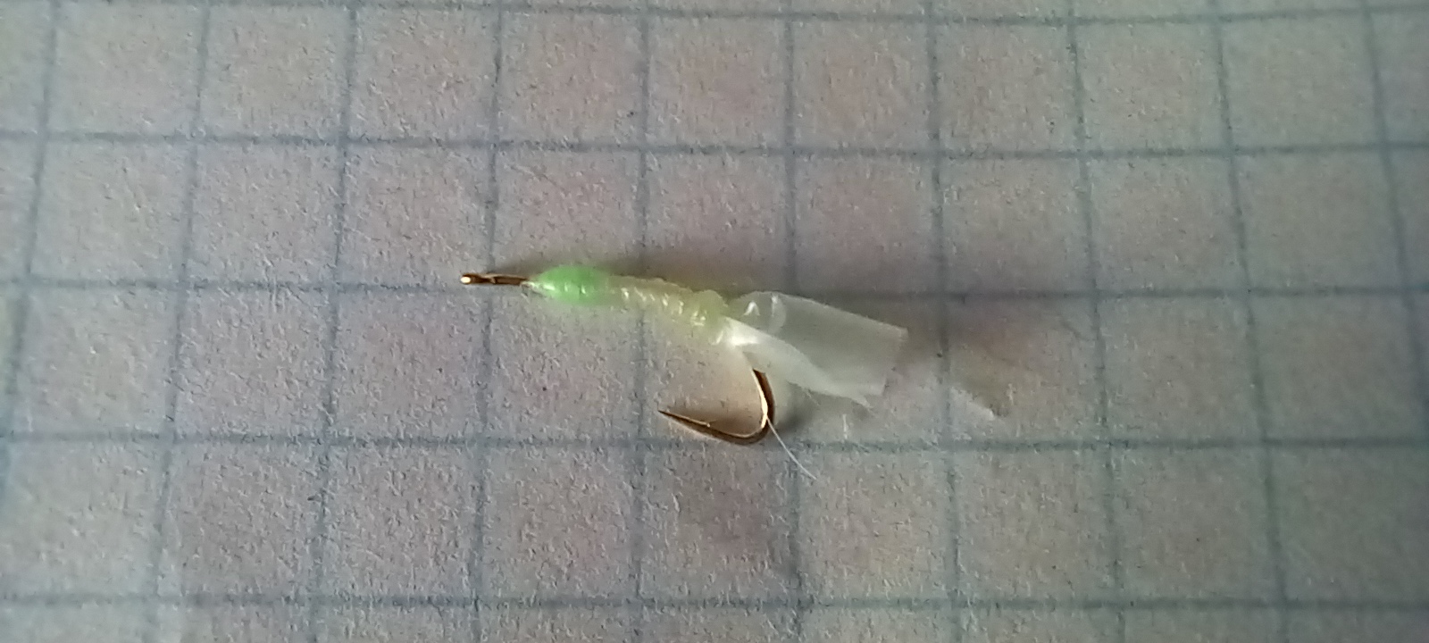 20221130_173021.jpg