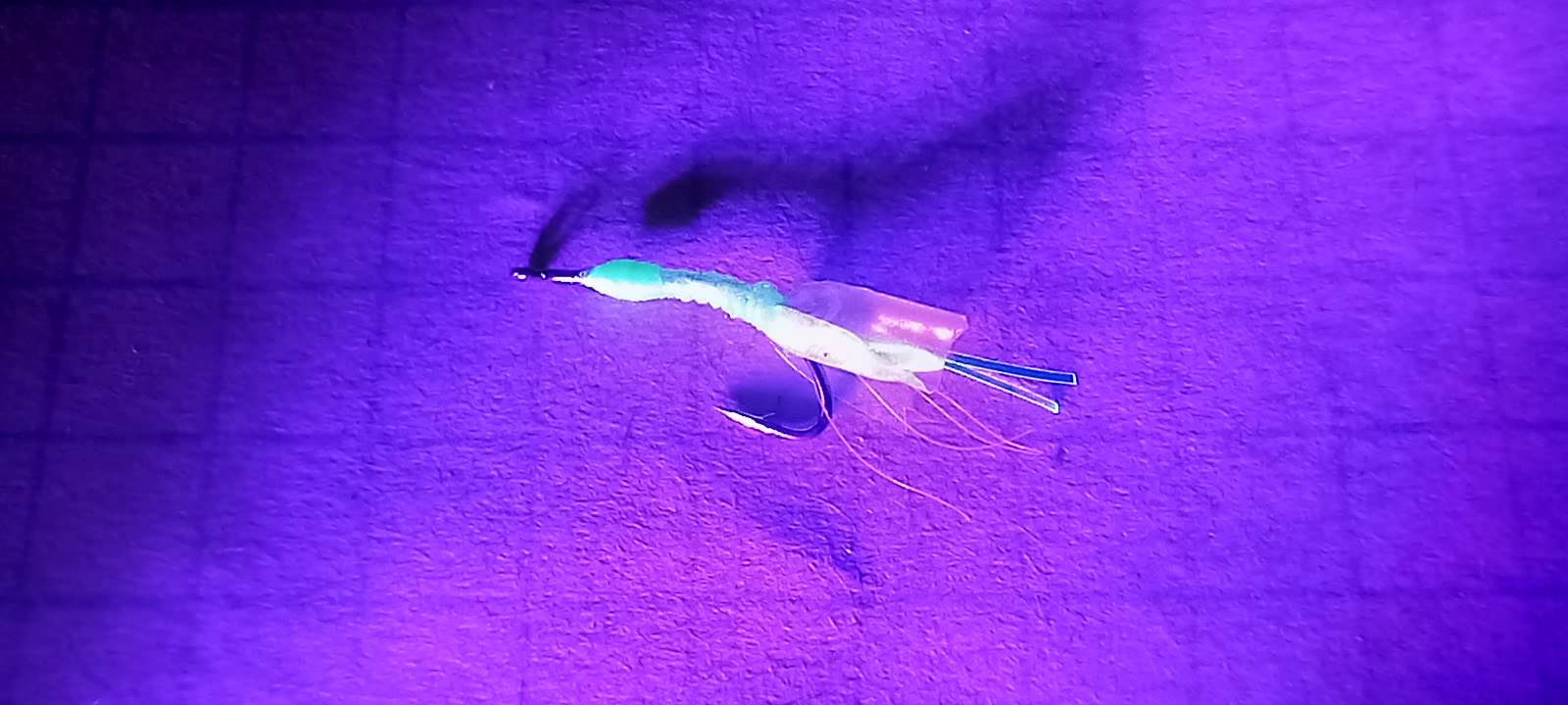 20221130_173105.jpg