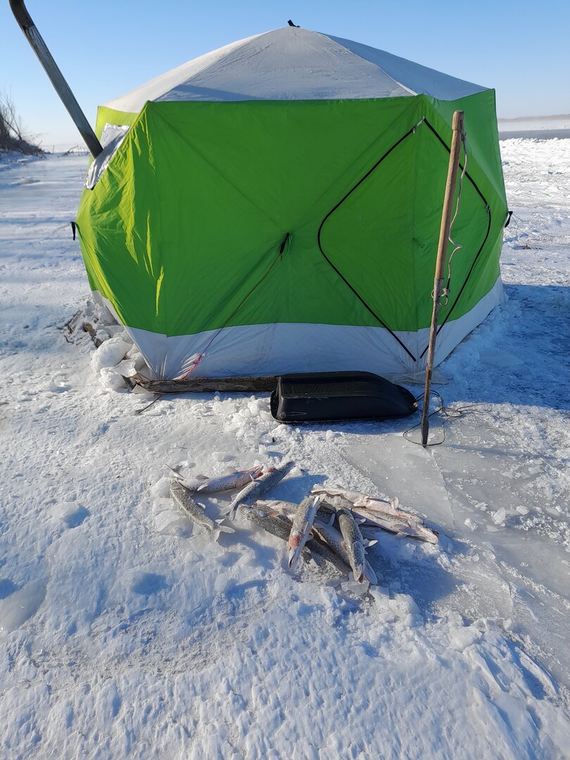 20221205_123934.jpg 20221205_123934.jpg