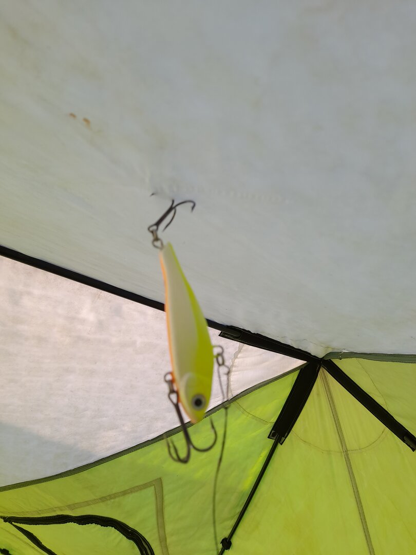 20221205_134650.jpg 20221205_134650.jpg