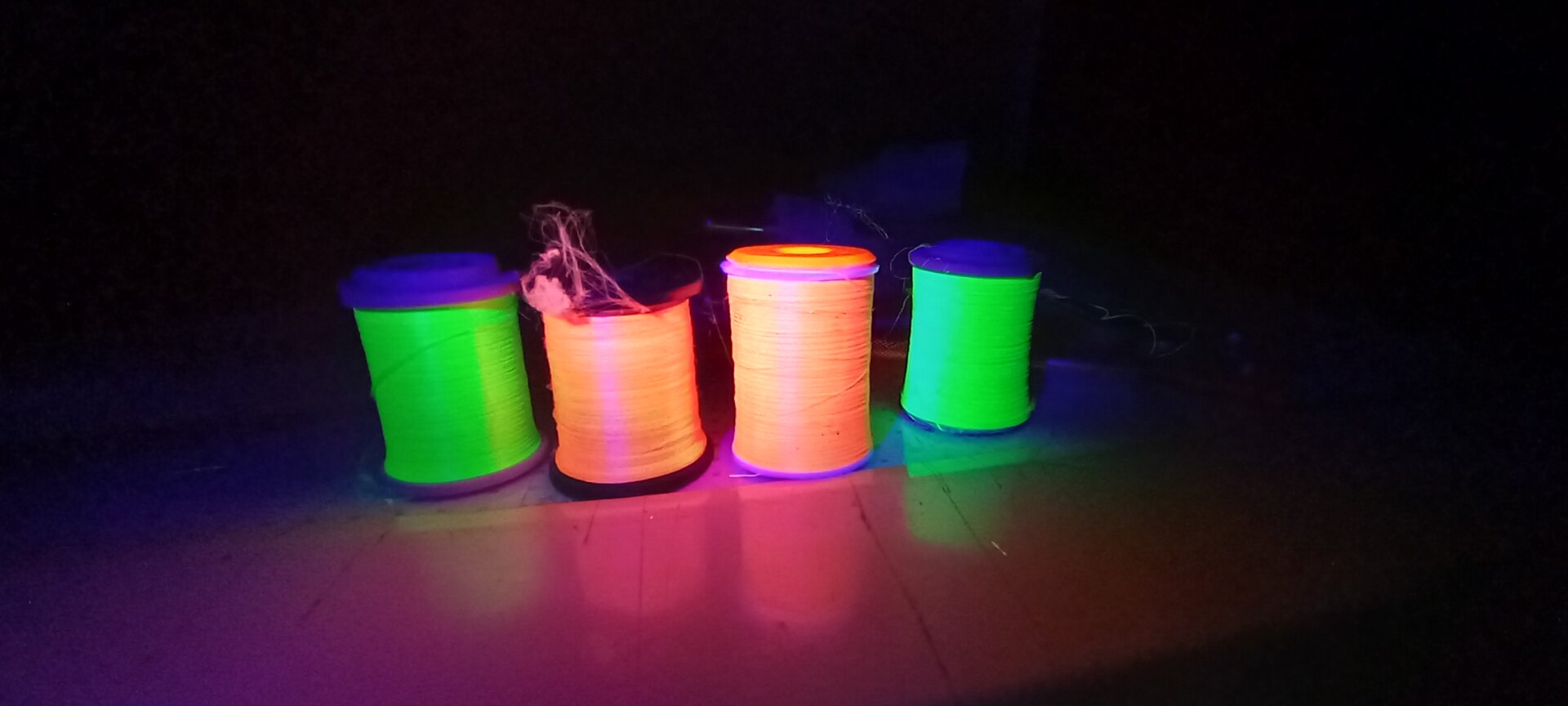 20221205_181029.jpg